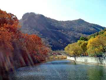 横滨轮胎价格表，神马泛目录